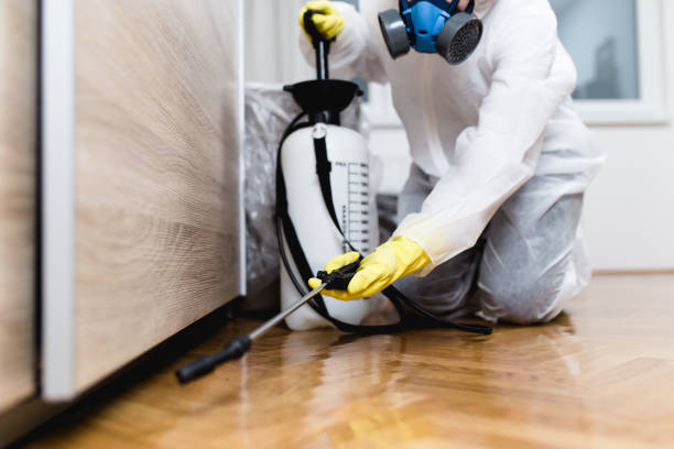 Best Pest Prevention Services  in Orwell, OH