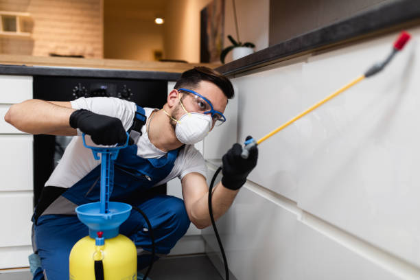 Best Affordable Pest Control Services  in Orwell, OH