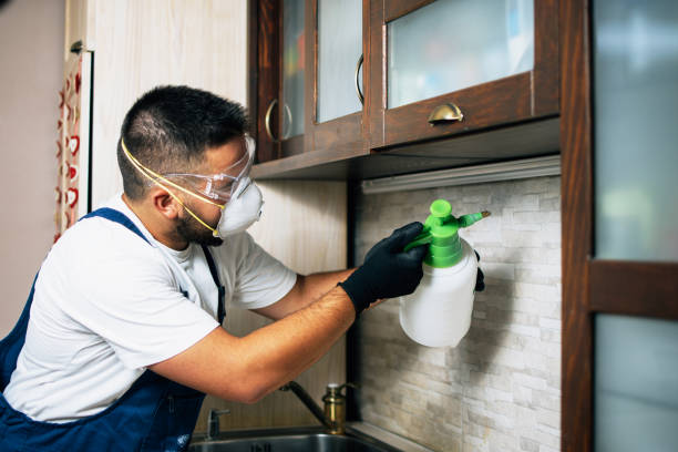 Best Pest Inspection Near Me  in Orwell, OH