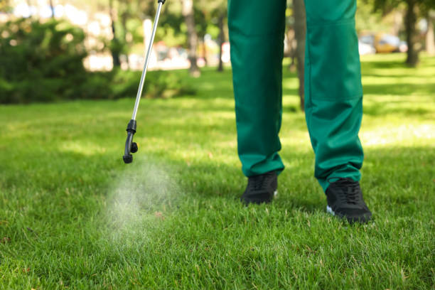 Best Wasp Removal Services  in Orwell, OH