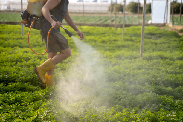 Best Pest Control Treatment  in Orwell, OH
