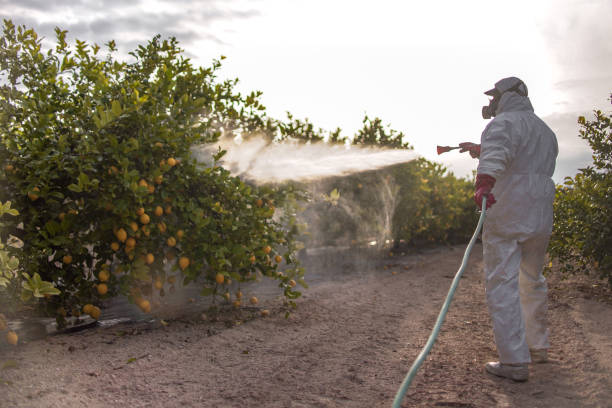 Best Mosquito Control Services  in Orwell, OH