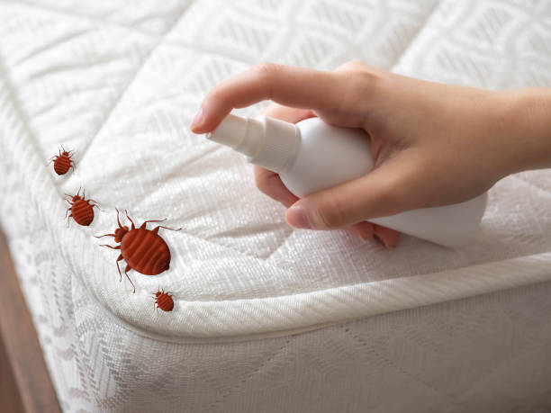 Best Termite Control Services  in Orwell, OH
