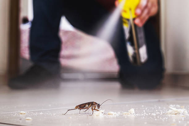 Wildlife Control Services in Orwell, OH