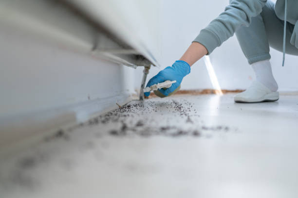 Best Local Pest Control Services  in Orwell, OH