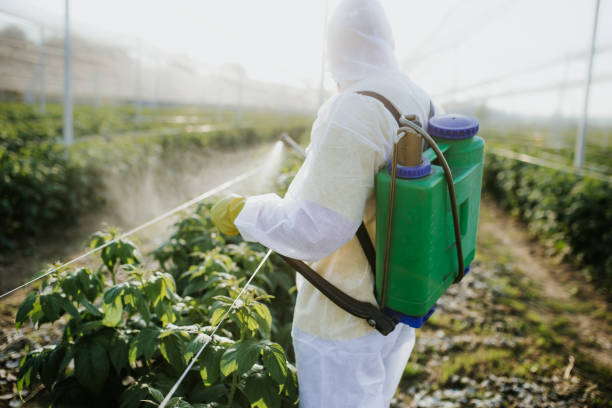 Best Pest Removal Services  in Orwell, OH